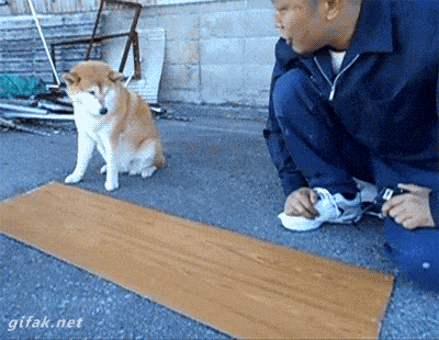 giphy (2) d.gif